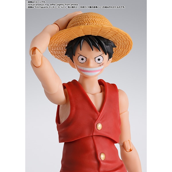 Bandai S.H.Figuarts Monkey D. Luffy ROMANCE DAWN Gum-Gum Fruit Option Parts Set