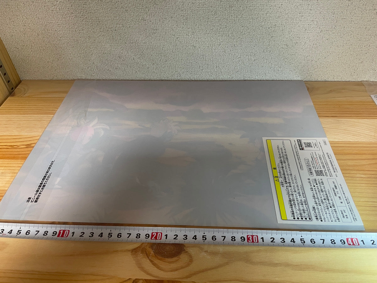 Dragon Ball Z Diama Kid Goku & Kid Shin Ichiban Kuji Clear Poster Bandai