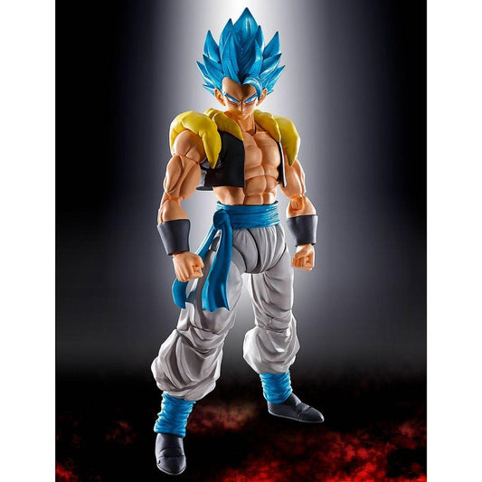 S.H. Figuarts Super Saiyan God Super Saiyan Gogita