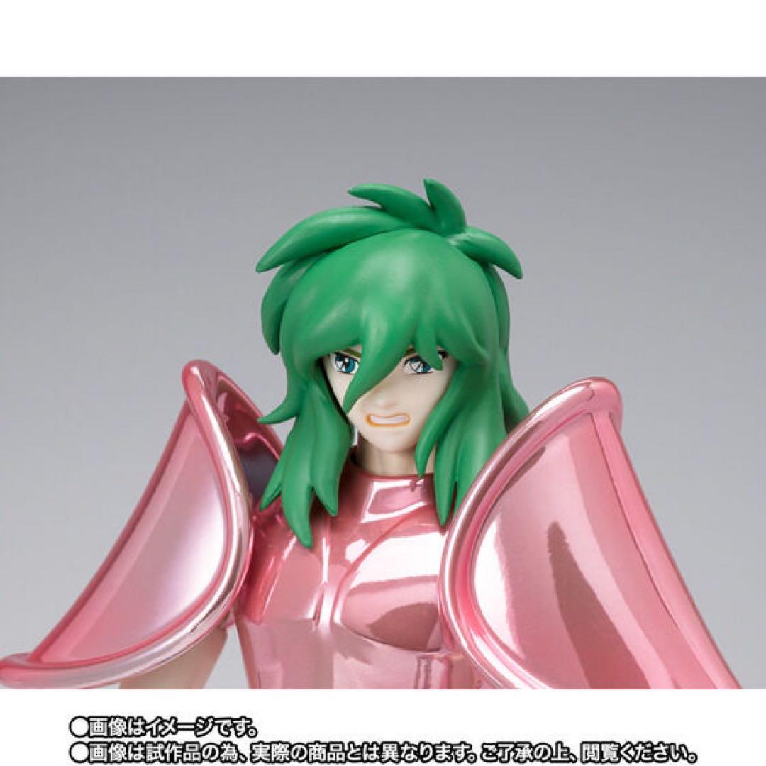 Saint Cloth Myth Andromeda Shun (Early Bronze Saint Cloth) 20th Anniversary Ver.
