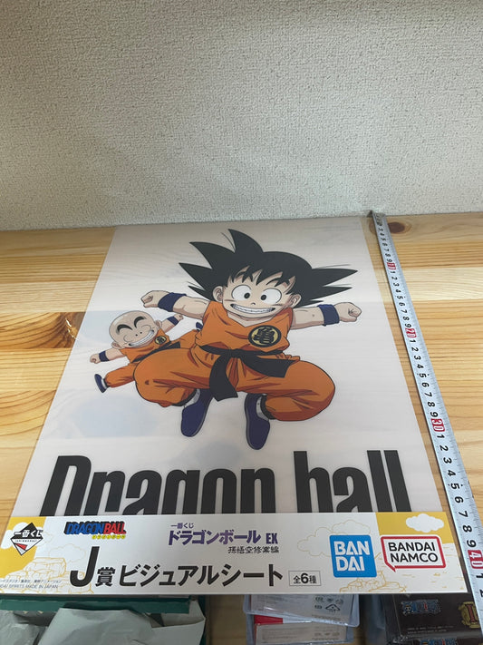 Ichiban Kuji Dragon Ball Son Goku Training Arc Visual Sheet from Japan